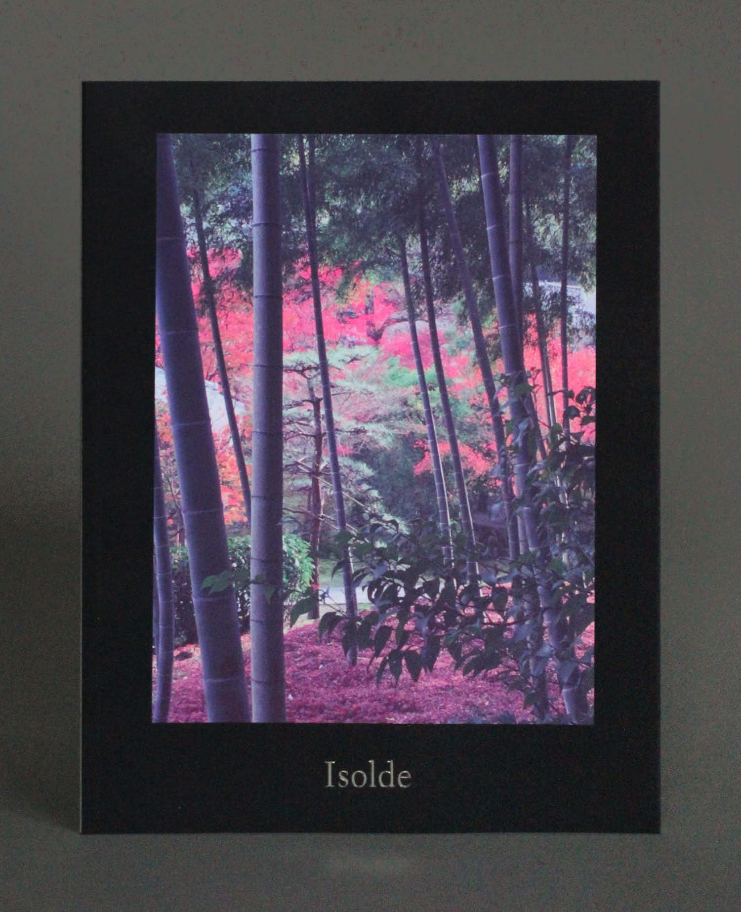 Elizabeth Peyton, Isolde exhibition catalogue for Sadie Coles HQ