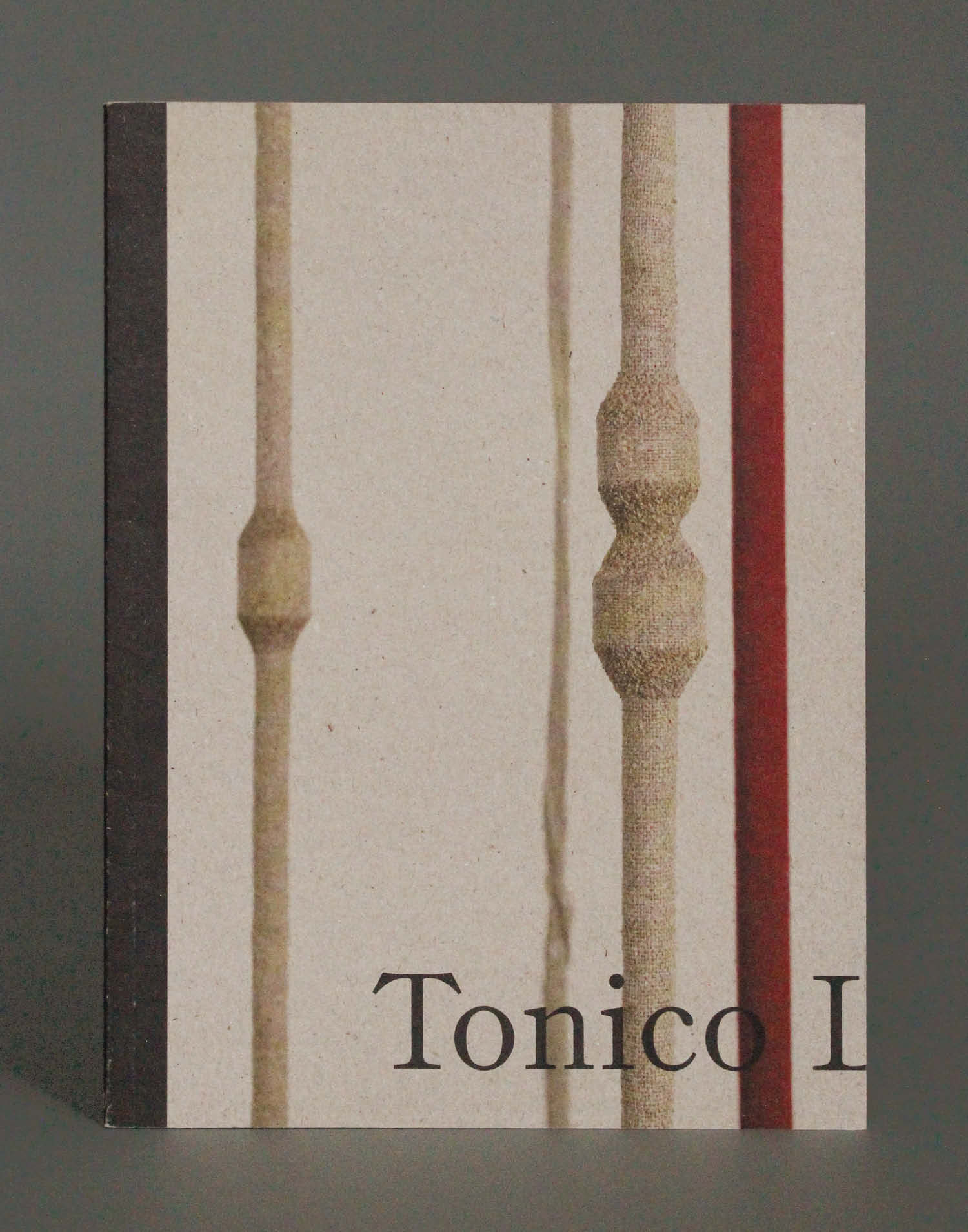 Tonico Lemos Auad, De La Warr Pavilion exhibition catalogue